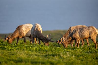 美好(hao)!推薦(jian)廣州代生(sheng)助孕?