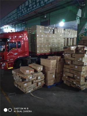 廣州(zhou)到西(xi)雙(shuang)版(ban)納(na)物(wu)流公(gong)司(si)--安全到(dao)達(da)