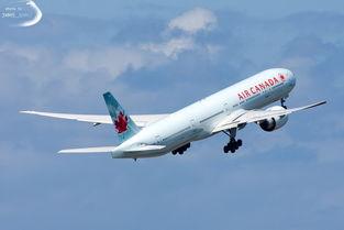 廣州到香港跨境(jing)cod物(wu)流